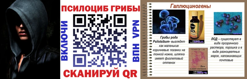 Галлюциногенные грибы GOLDEN TEACHER  Купить закладки  Нижний Тагил 
